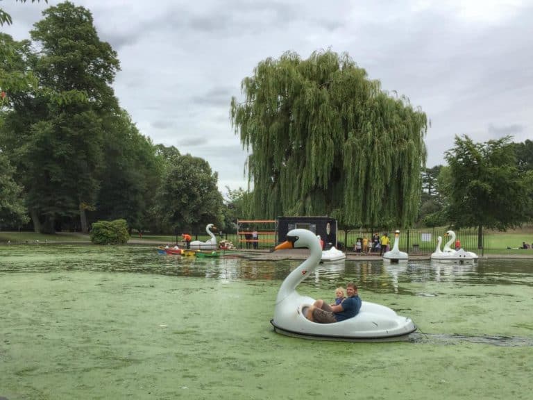 Castle Park Colechester swan rides