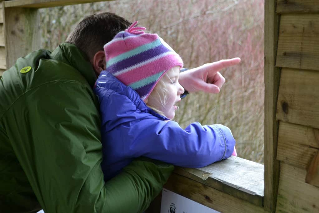 Mr Tin Box and Tin Box Tot in the Amelia Trust bird hide