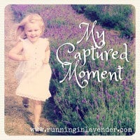 My Captured Moment Running in Lavender