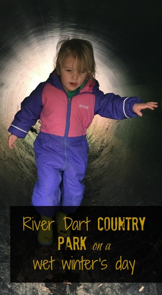 River Dart Country Park pin
