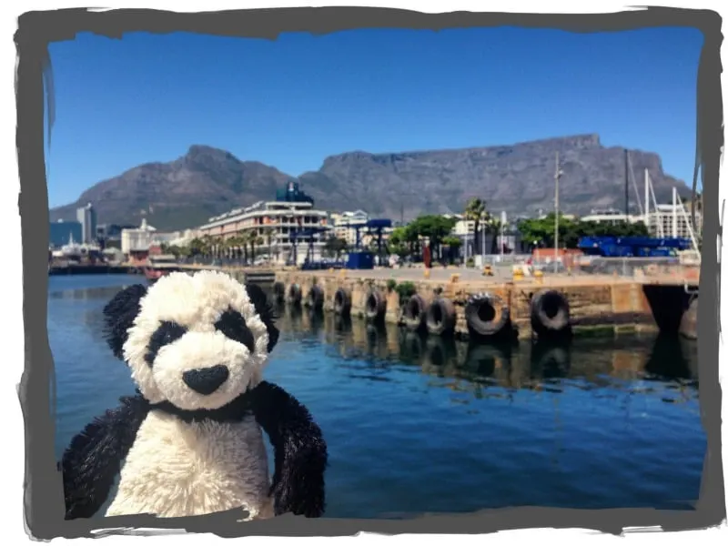 Kennedy Panda from This Panda Travels in front of Table Mountain in Cape Town, South Africa