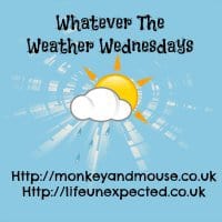 Whatever the Weather link badge Life Unexpected