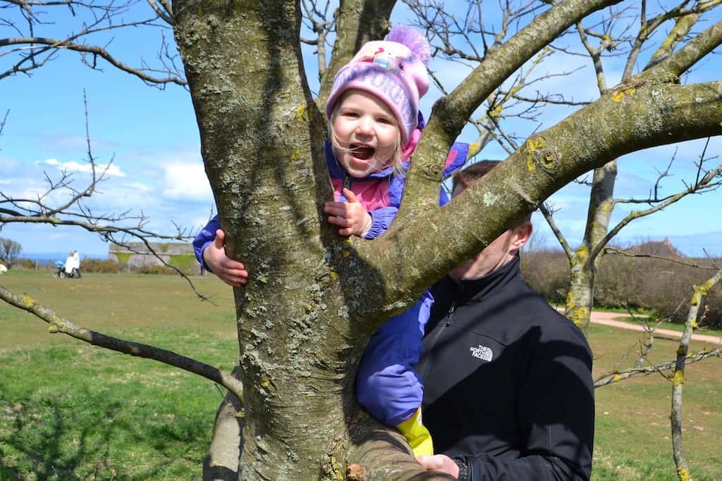 Tin Box Tot climbing a tree during our walk at Berry Head in Devon