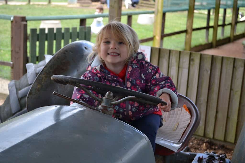 Riding the tractor at Totnes Rare Breeds Farm