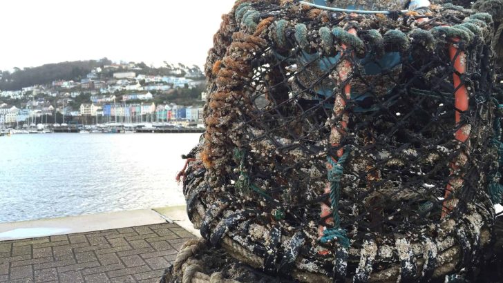 Lobster pots on the quayside in Dartmouth - A delicious guide to food and drink on the River Dart