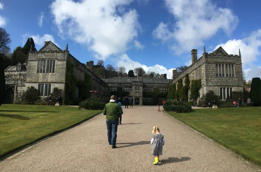 Walk up the drive to the house - Exploring Victorian life at Lanhydrock National Trust