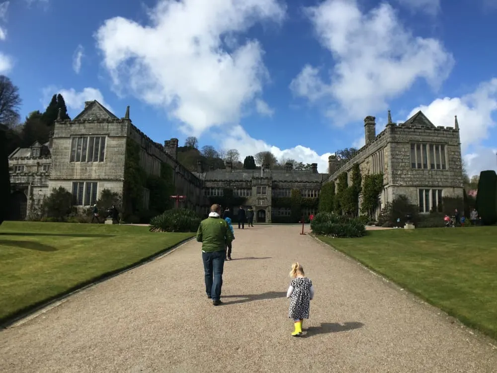 Walk up the drive to the house - Exploring Victorian life at Lanhydrock National Trust