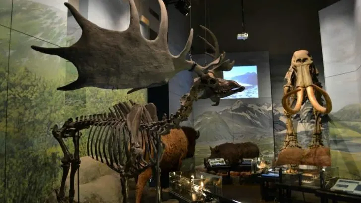 5 things to do in Cardiff with kids