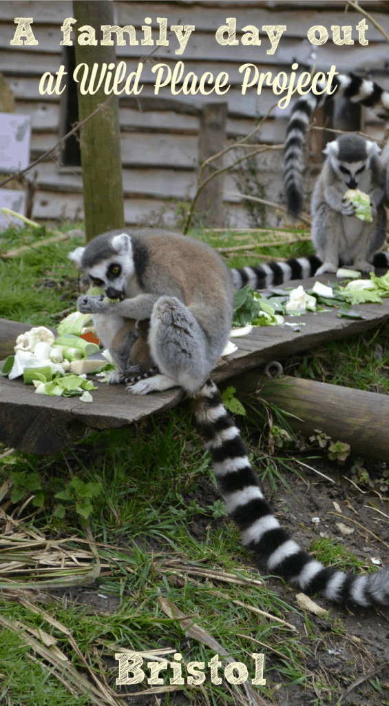 A family day out at Wild Place Project, Bristol