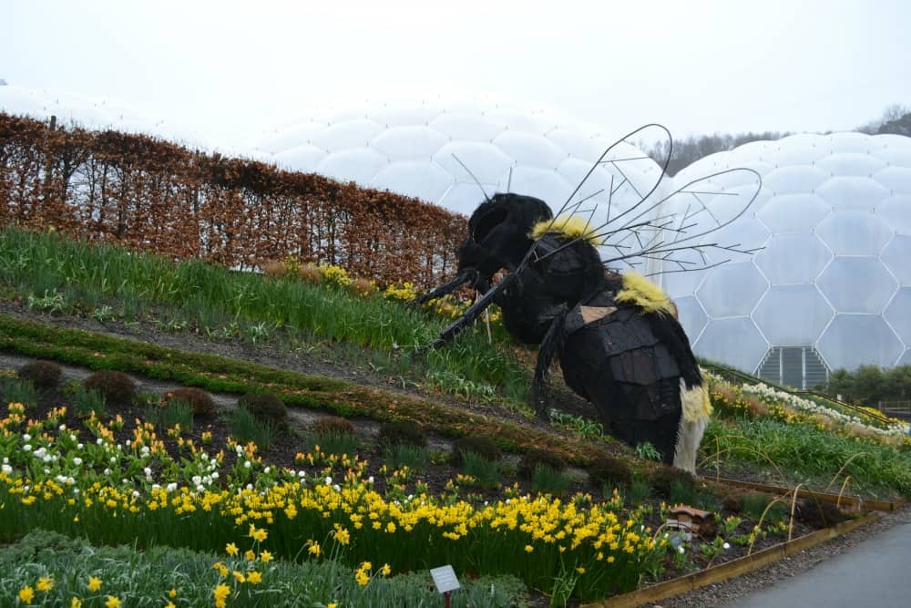 A giant bee sculpture among the crops - The Eden Project: a family day out in Cornwall