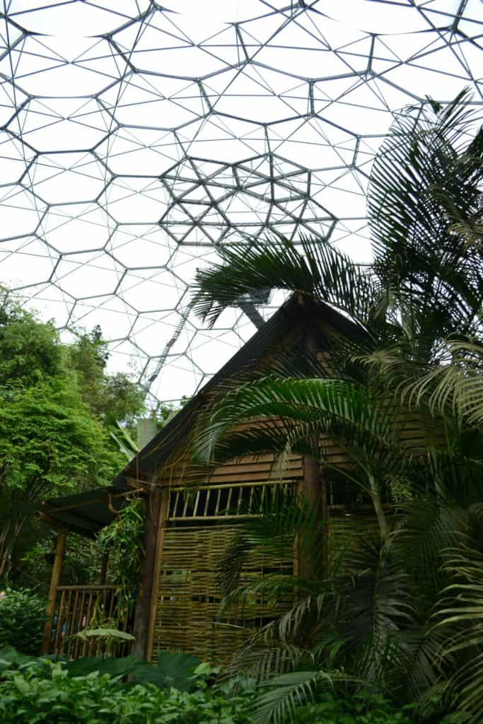 A tropical house in the Rainforest Biome - The Eden Project: a family day out in Cornwall