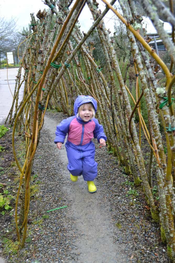 Tin Box Tot running through the sensory garden - The Eden Project: a family day out in Cornwall 