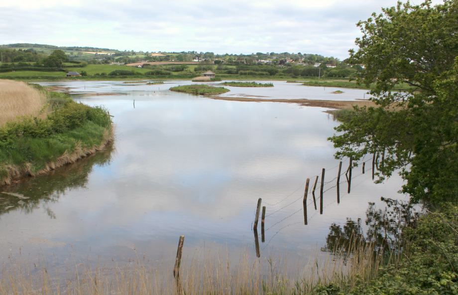 A view across Seaton Wetlands - great family days out