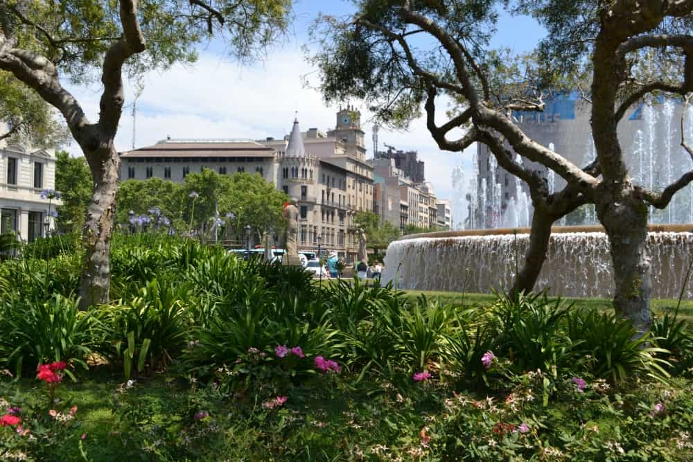 A view of trees, plants and a fountain in Placa Catalonia - Barcelona with a buggy