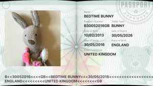 Teddy Passport app