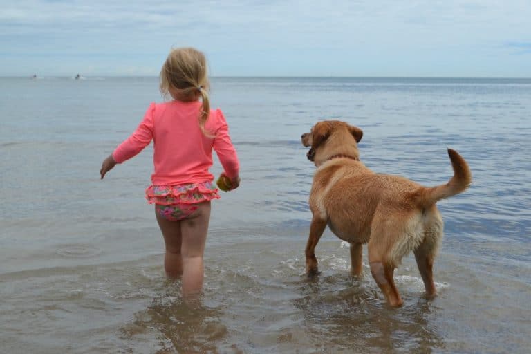 Tin Box Tot and Dog paddling in the sea