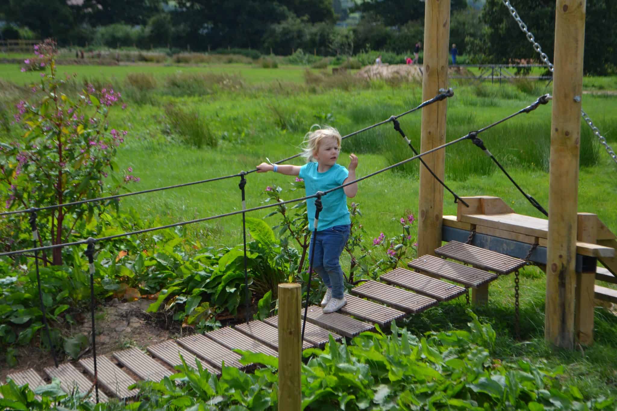 Tin Box Tot on Wobbly Bridge at The Bear Trail - a family attraction in Devon