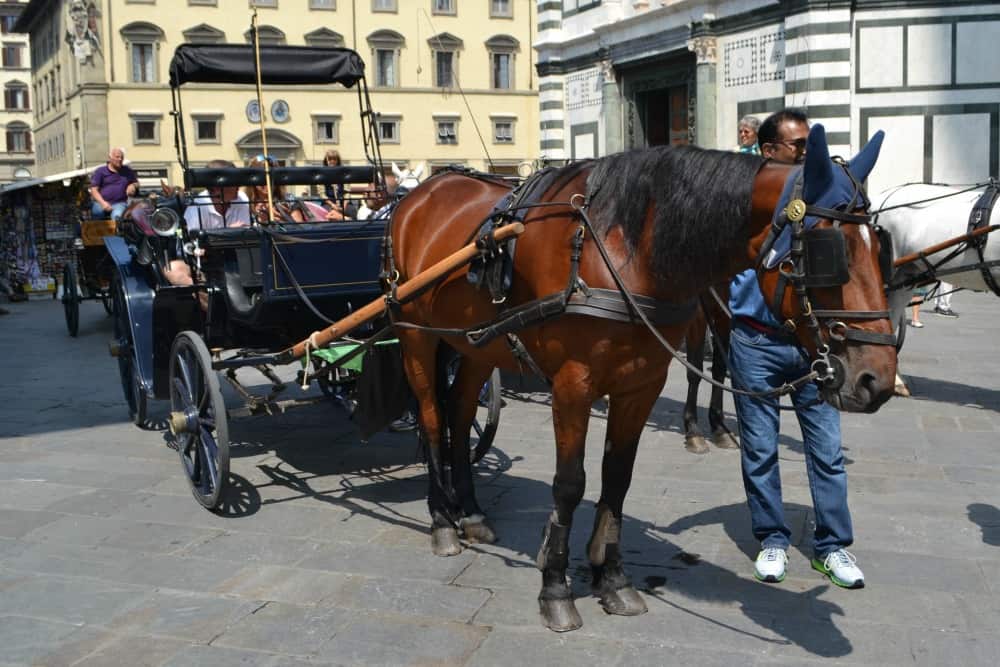 Horse and carriage in the piazza outside Florence Duomo - Florence with toddlers what to see in 4 hours