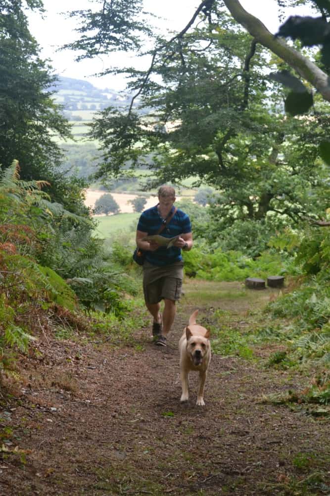 Mr Tin Box and dog walking through woods - visiting Killerton National Trust with children