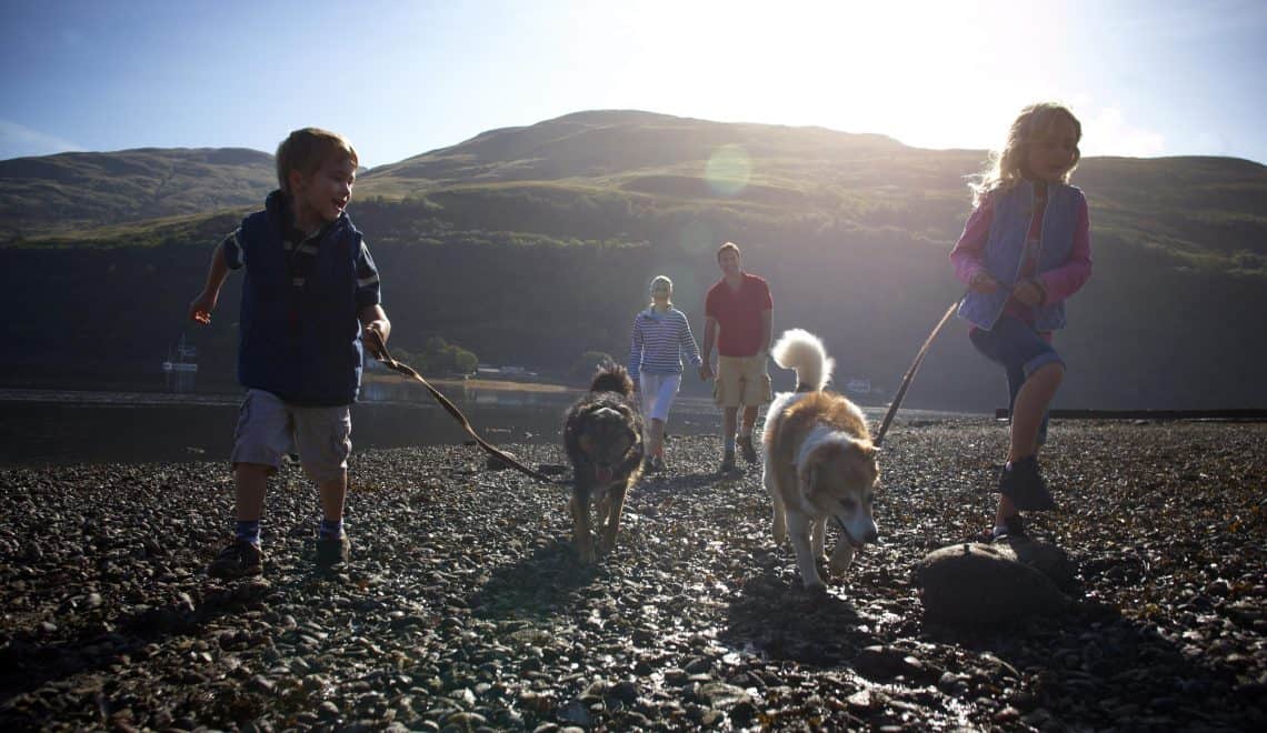 Dog walking on a beach - Forest Holidays - Luxury family and dog-friendly UK holidays