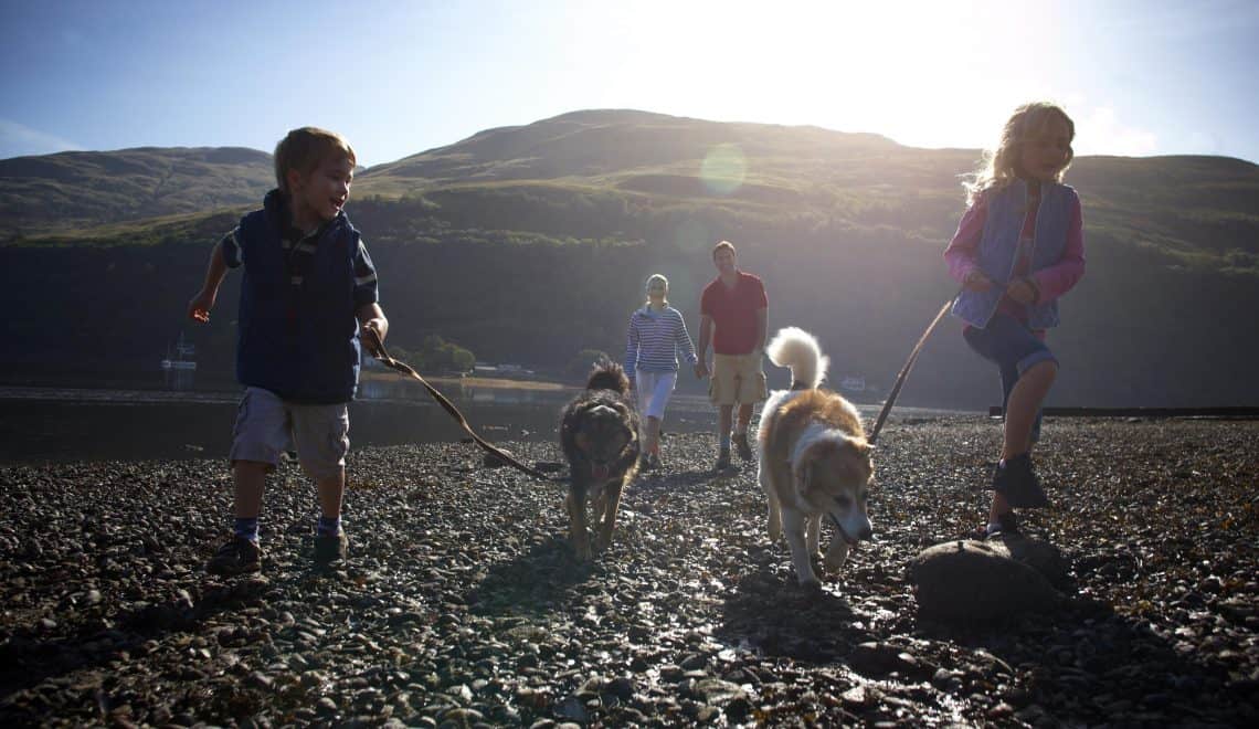 10 Luxury Family And Dog Friendly Uk Holidays Tin Box