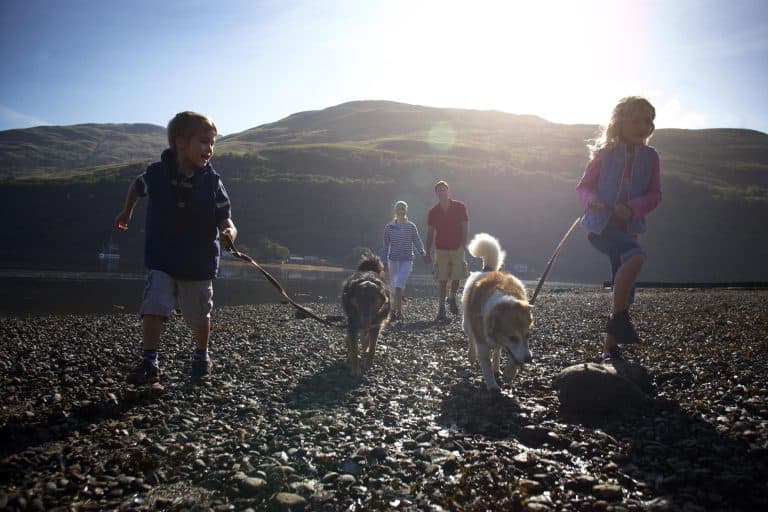 Dog walking on a beach - Forest Holidays - Luxury family and dog-friendly UK holidays