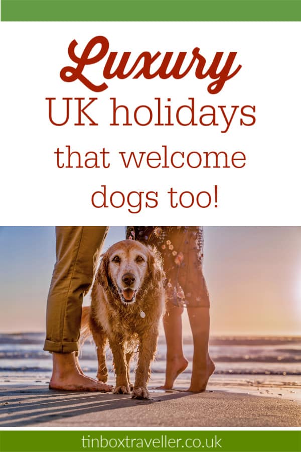 10+ luxury family and dogfriendly UK holidays Tin Box
