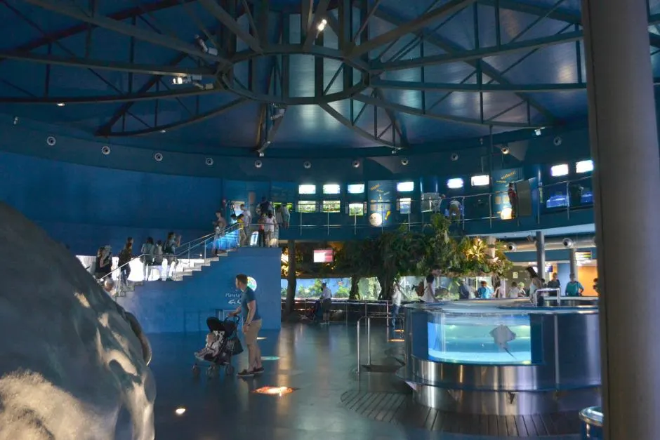 Planta Gava at L'Aquarium de Barcelona - Barcelona with kids