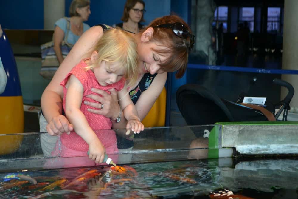 Tin Box Tot feeding carp with a bottle at L'Aquarium de Barcelona - Barcelona with kids