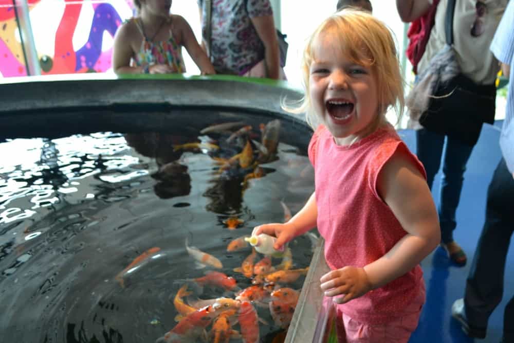 Tin Box Tot enjoying feeding carp at L'Aquarium de Barcelona - Barcelona with kids