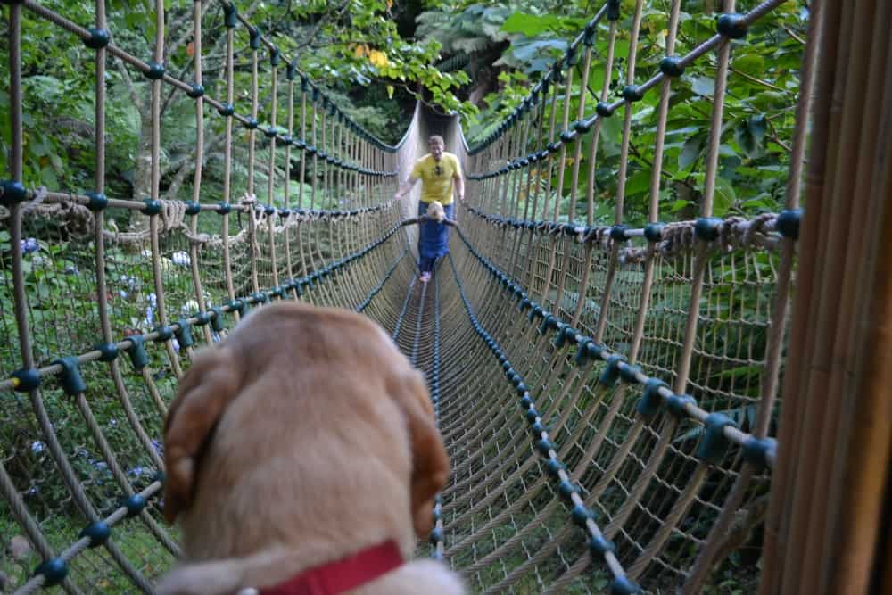 Burma Rope Bridge at The Lost Gardens of Heligan - Heligan with children