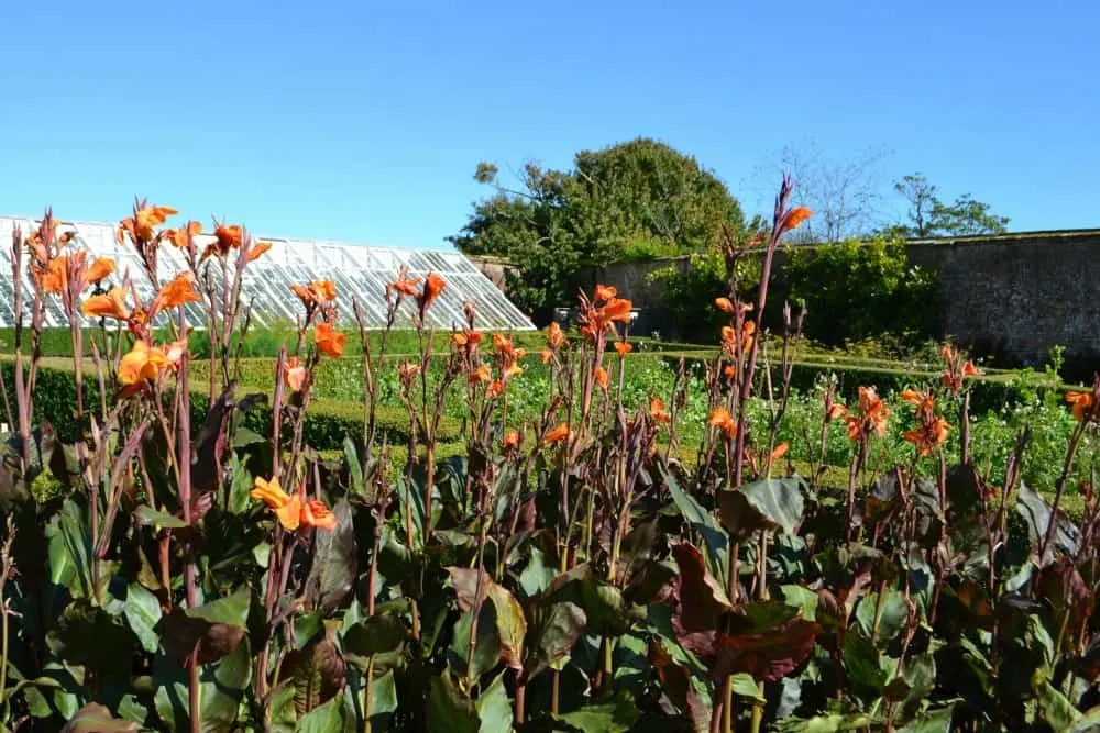 Flower Garden at The Lost Gardens of Heligan - Heligan with children