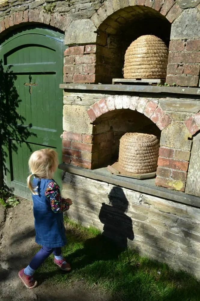 Tin Box Tot Bee Hole Lawn at The Lost Gardens of Heligan - Heligan with children