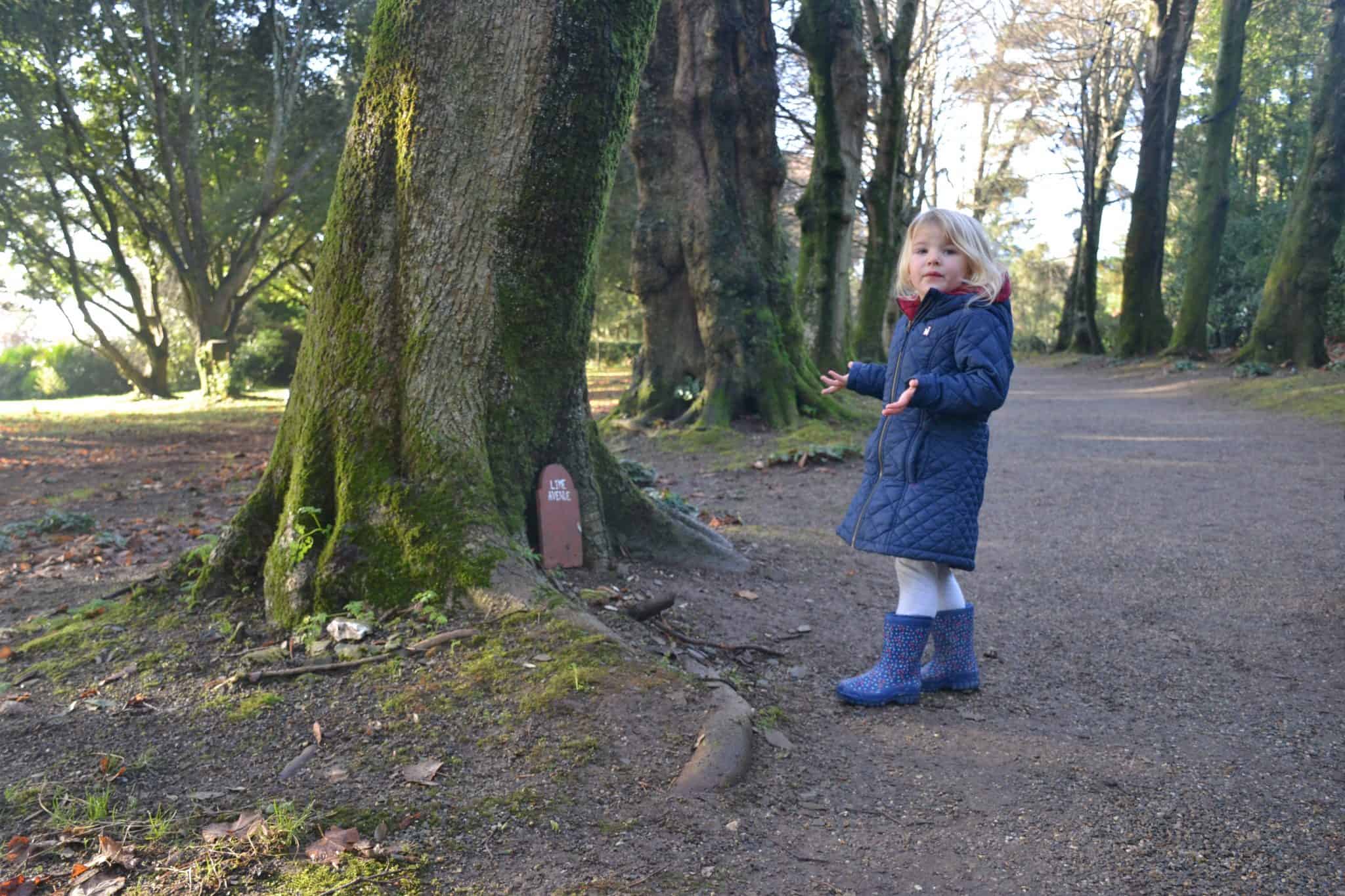 Fairy door - A fairy tale Christmas at Enchanted Saltram, Devon