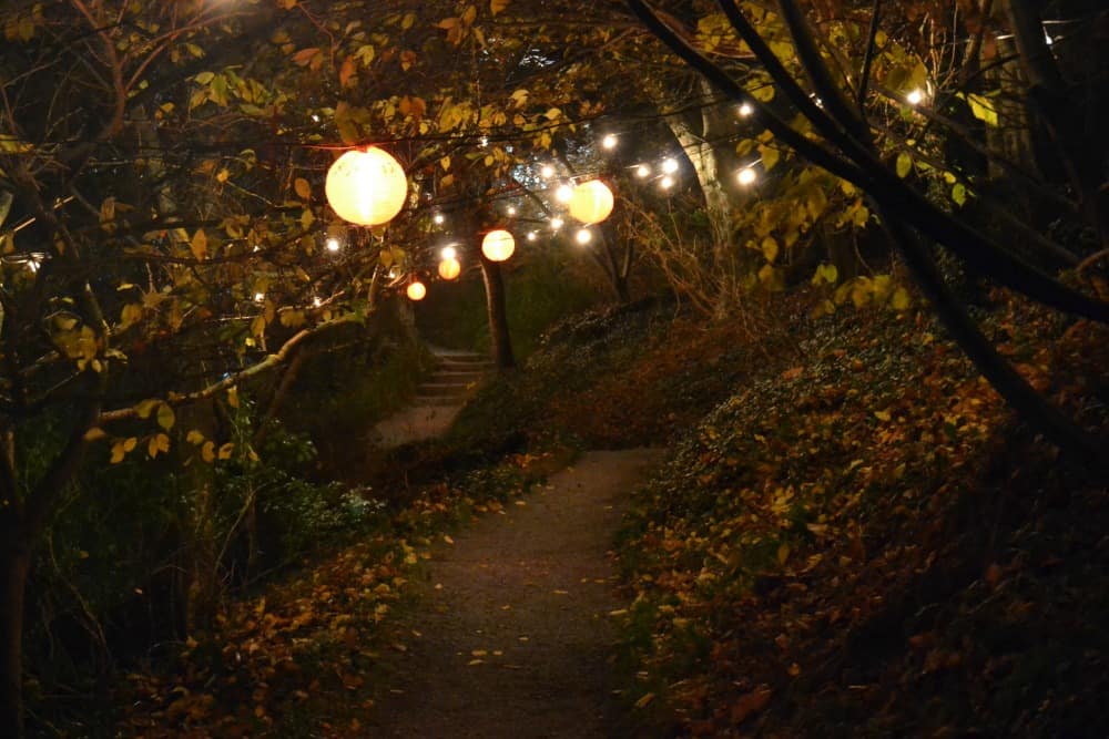 A sparkling evening at Coleton Fishacre Christmas in Devon Tin Box