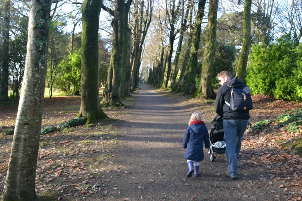 Lime grove Cinderella kitchen - A fairy tale Christmas at Enchanted Saltram, Devon