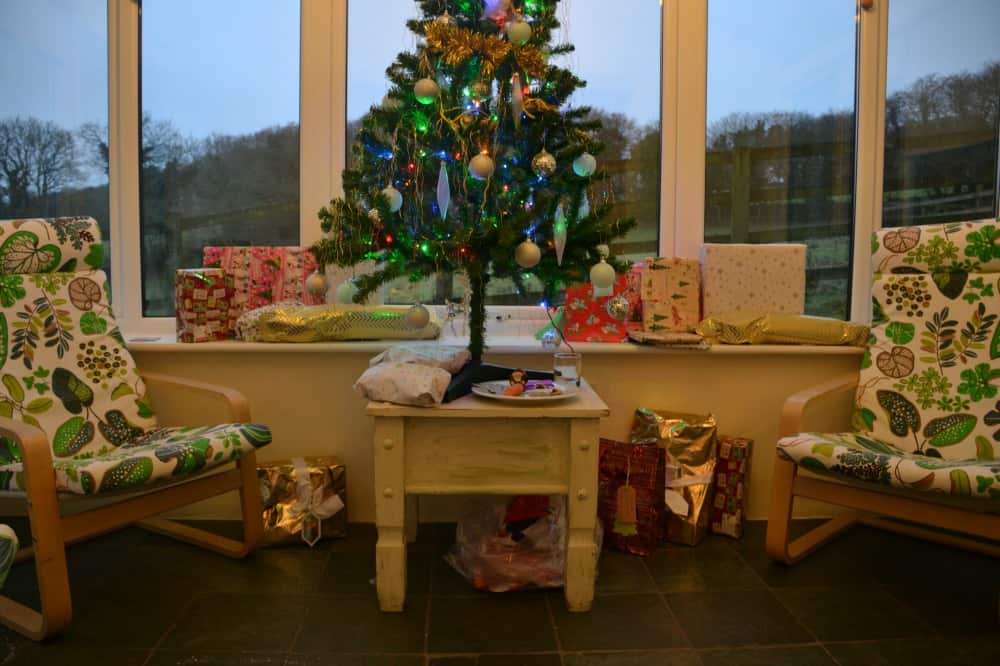Christmas tree - A perfect winter holiday with children at Bosinver, Cornwall