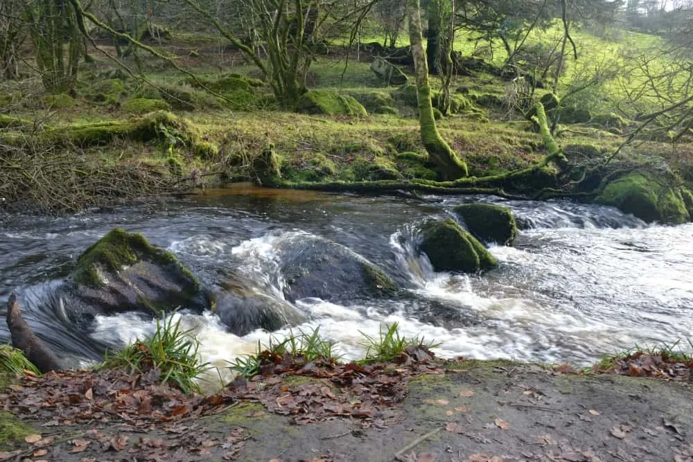 Golitha Falls rapids - Stunning walks on Bodmin Moor for active families
