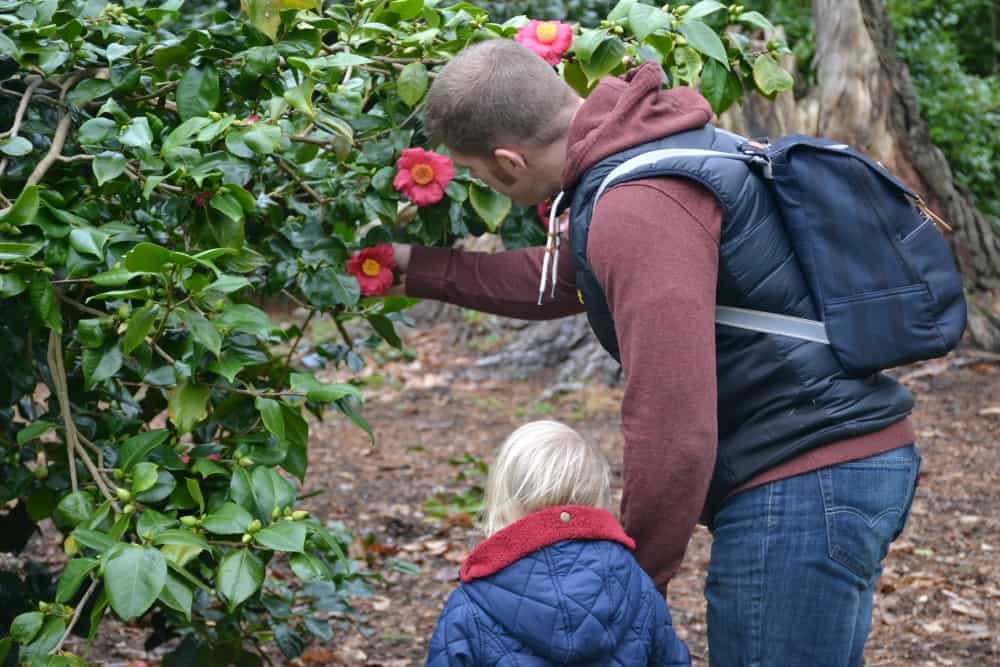 Looking at flowers at Trelissick - A perfect winter holiday with children at Bosinver, Cornwall