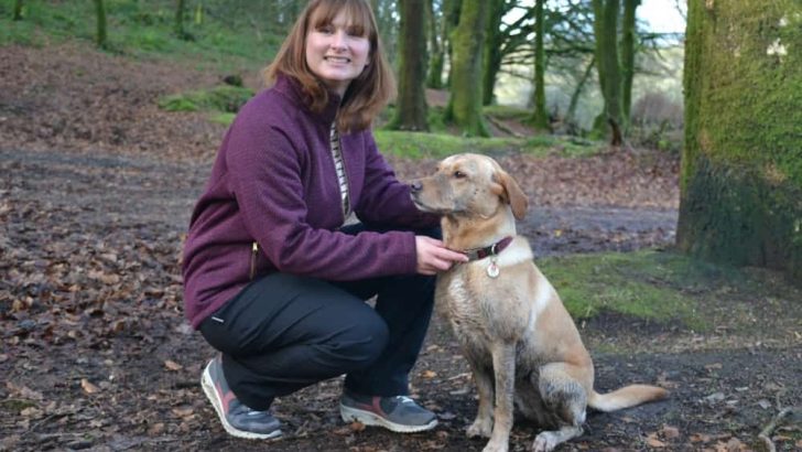 Tin Box Traveller and Dog at Golitha Falls - Stunning walks on Bodmin Moor for active families