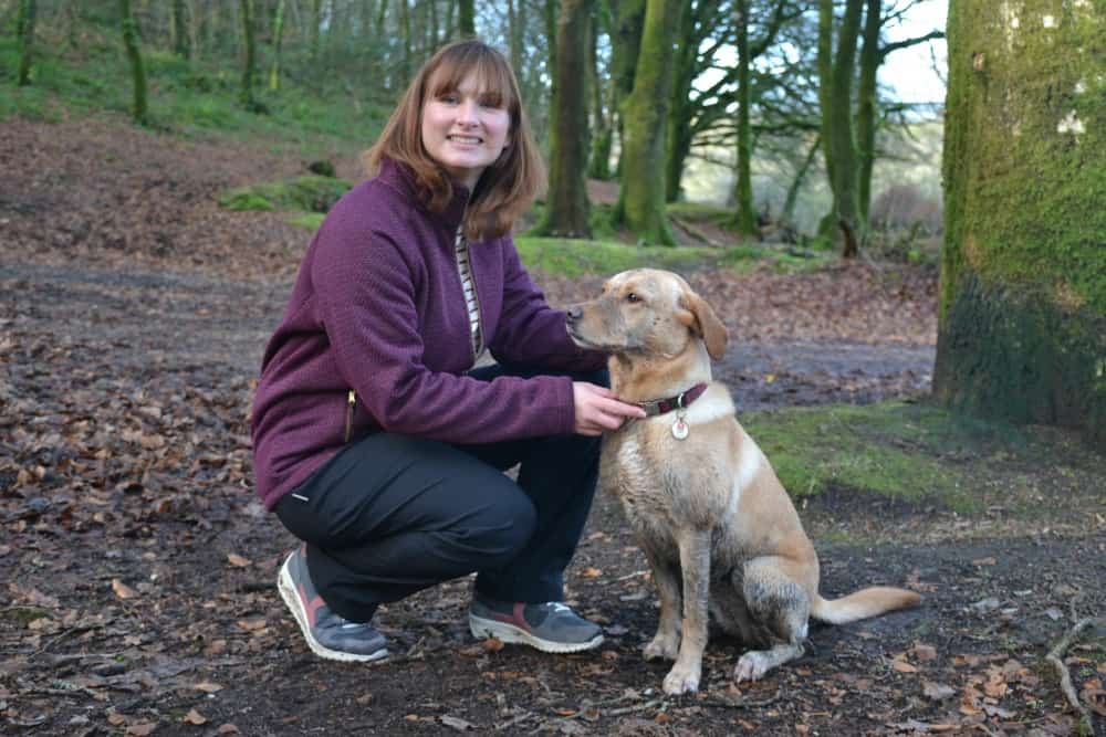 Tin Box Traveller and Dog at Golitha Falls - Stunning walks on Bodmin Moor for active families