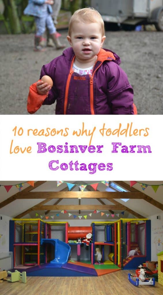 Our toddlers loved our stay at Bosinver Farm Cottages in Cornwall. For them, it ticked all the boxes for a great family holiday with plenty for kids to do. Here's out 10 reasons why toddlers love Bosinver Farm Cottages