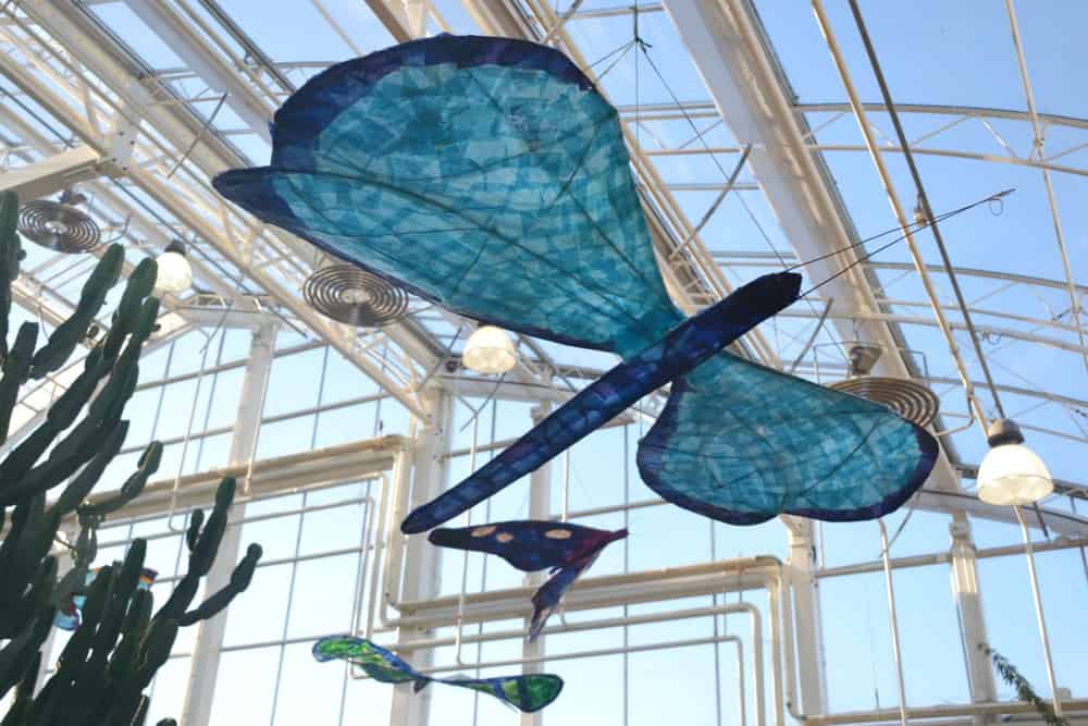 Butterfly art in Glasshouse - butterflies at RHS Wisley