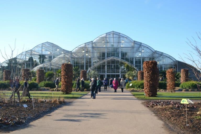 Glasshouse - butterflies at RHS Wisley