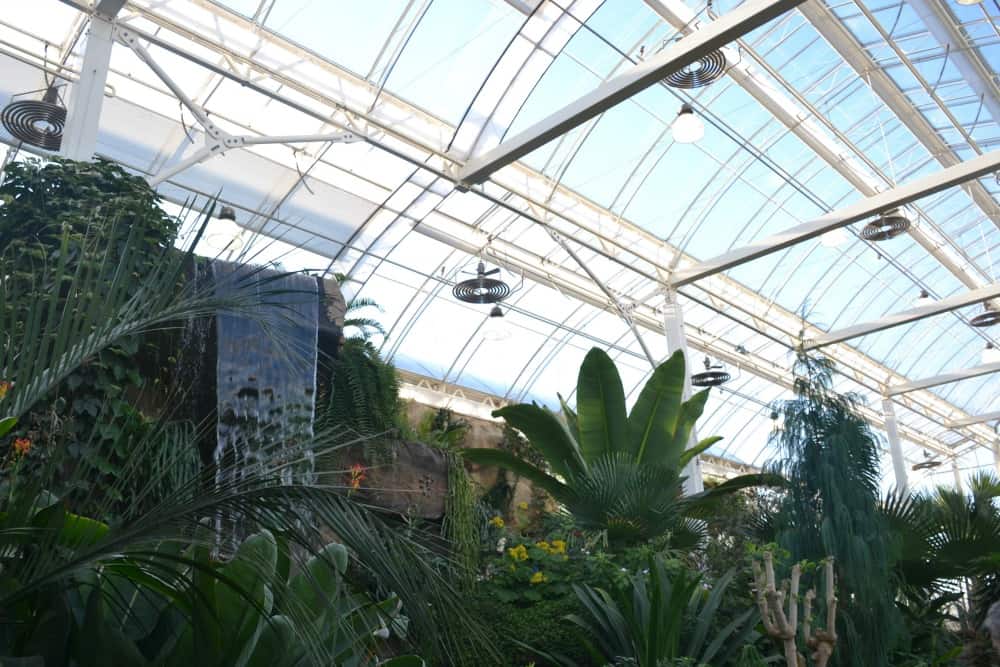 Inside Glasshouse - butterflies at RHS Wisley