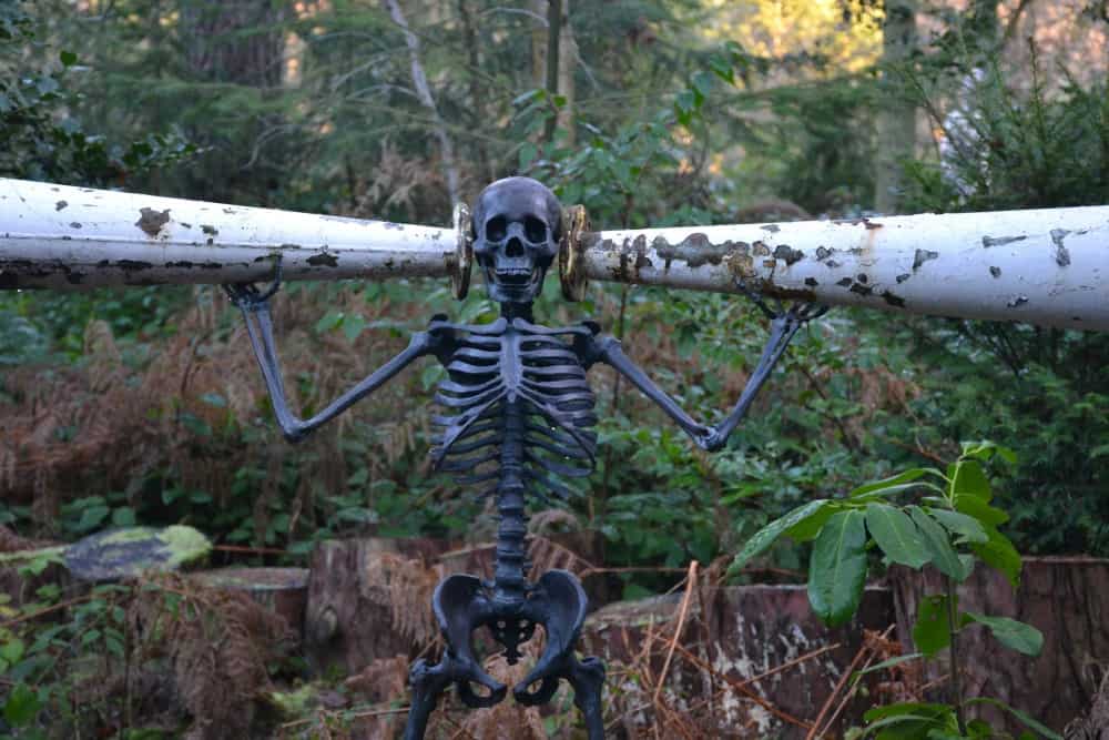 Skeleton and trumpets - A visit to the world's largest all year sculpture park