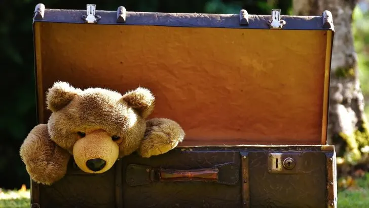 Teddy in suitcase - smart packing tips every mum needs to know