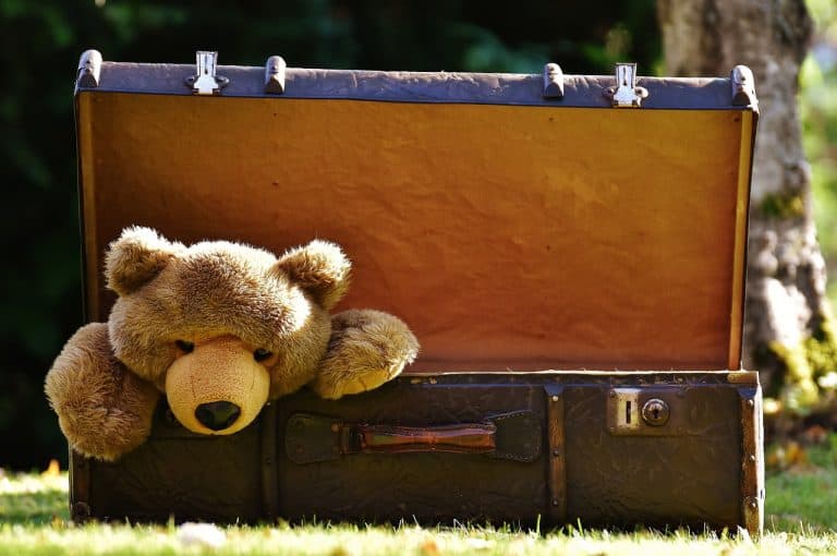 Teddy in suitcase - smart packing tips every mum needs to know