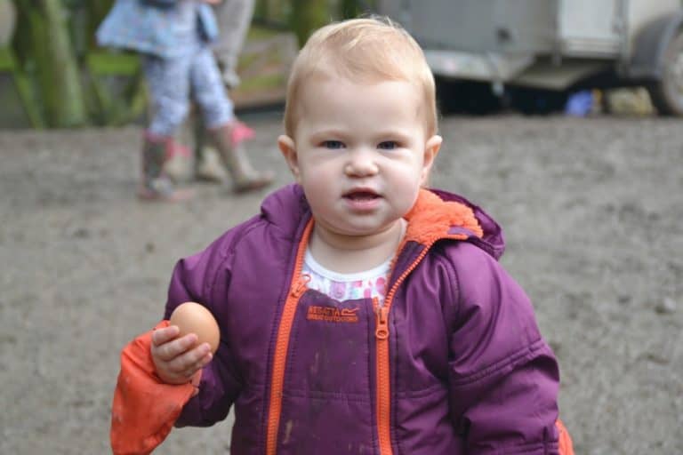 Tin Box Baby holding an egg at Bosinver Farm Cottages