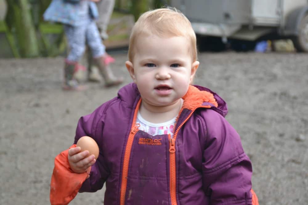 Tin Box Baby holding an egg at Bosinver Farm Cottages